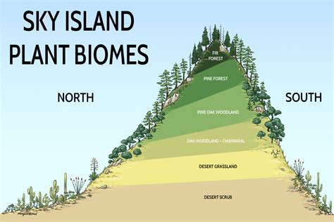 Sky Islands .